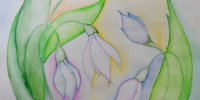 sam_3567