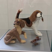img_5661