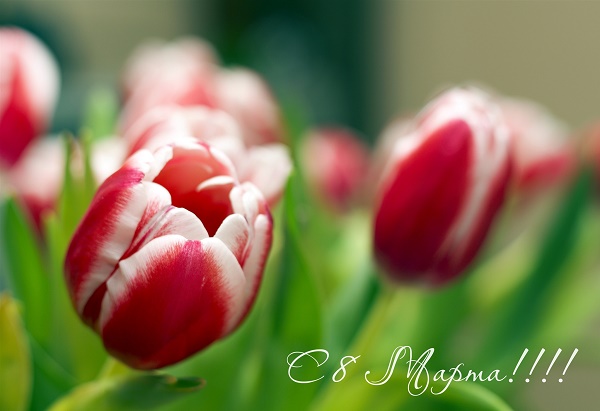 8march2014